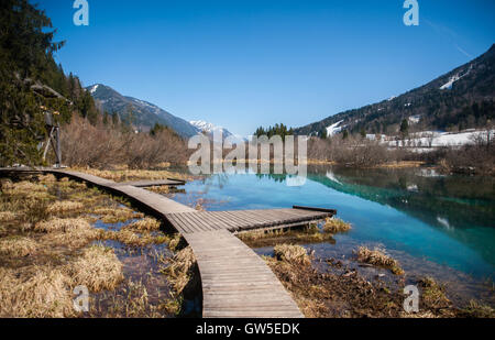 Sava printemps, Zelenci, Slovénie Banque D'Images