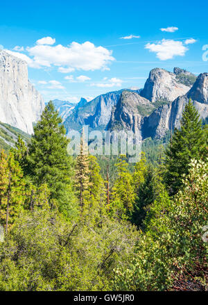 Yosemite National Park, Californie, vue panoramique de la vallée avec le El Capitan et la cathédrale Spires montagne Banque D'Images