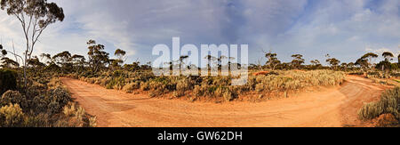 Panorama de la route de l'outback non scellées dans l'ouest de l'Australie près de bushland Balladonia roadhouse. Banque D'Images