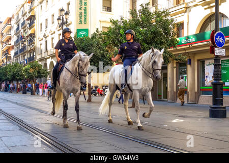 Les agents de police à cheval espagnol sur les chevaux à patrouiller la ville de Séville, Andalousie, espagne. Banque D'Images