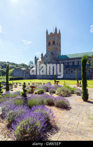 Le jardin de lavande à l'abbaye de Buckfast (terminé en 1938), un monastère bénédictin de Totnes, Devon, England, UK Banque D'Images