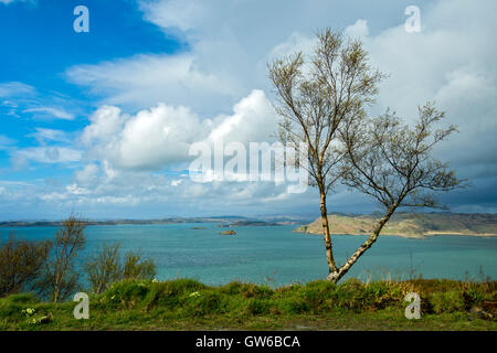 Sound of Jura de la forêt à pied, près de Crinan Crinan, Argyll and Bute, Ecosse, Royaume-Uni Banque D'Images