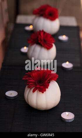 Les gerberas rouge blanc sculpté dans Casper citrouilles sur un tableau noir avec bougies blanches à la période des fêtes. Banque D'Images