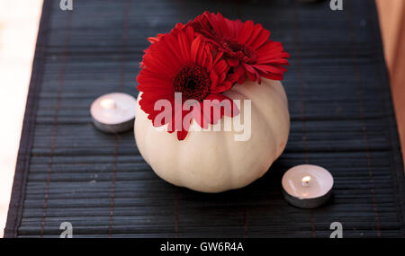 Les gerberas rouge blanc sculpté dans Casper citrouilles sur un tableau noir avec bougies blanches à la période des fêtes. Banque D'Images