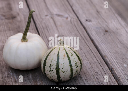 Citrouille Casper blanc à côté d'un livre vert et blanc gourd sur une table de pique-nique en bois rustique à l'automne. Banque D'Images