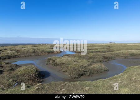 Un petit chemin à la marée sur l'îlot de Langeness dans les vasières, Mer du Nord, Schleswig-Holstein, Allemagne Banque D'Images