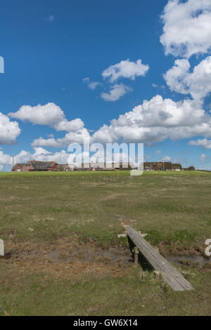 Maisons d'Adobe sur un monticule de terre, appelé Hallig Langeness, îlot de dans la mer du Nord, Schleswig-Holstein, Allemagne Banque D'Images