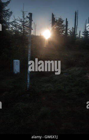 Sunrise de Modry sloup sur République tchèque-frontières bavaroises dans Sumava (forêt de Bavière) avec pierre frontière et arbres Banque D'Images