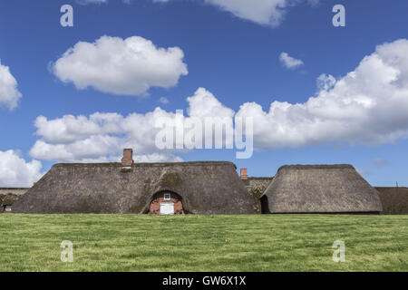 Maisons d'Adobe sur un monticule de terre, îlot de Langeness dans les vasières de la mer du Nord, Schleswig-Holstein, Allemagne Banque D'Images