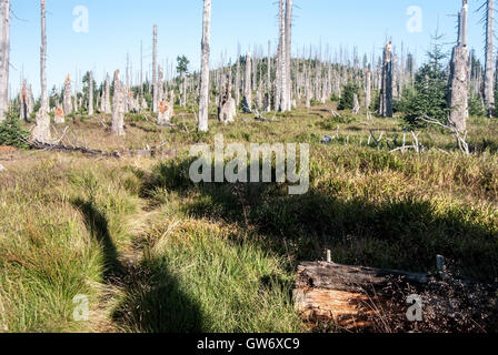 Sentier de la frontière près de colline avec Spicnik Blatny vrch sur l'arrière-plan sur République tchèque-frontières allemandes dans les montagnes de Sumava Banque D'Images