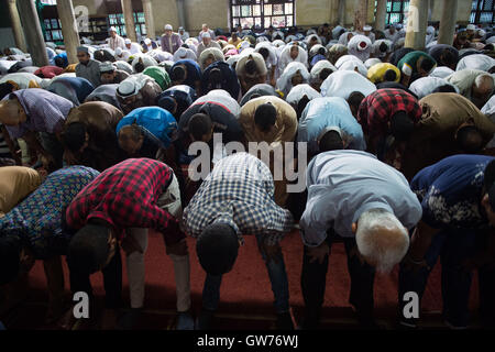 Le Caire, Égypte. 12 Sep, 2016. Les Musulmans égyptiens assister à l'Eid al-Adha prières à la mosquée Al-Azhar au Caire, Égypte, le 12 septembre 2016. Les musulmans à travers le monde célèbrent l'Aïd al-Adha festival, ou la fête de sacrifice. © Meng Tao/Xinhua/Alamy Live News Banque D'Images