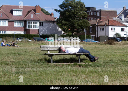 Wimbledon Londres, Royaume-Uni. 12 septembre 2016. Un homme sonner pendant sur un banc sur Wimbledon un jour chaud comme les températures augmenteront à 32 degrés celsius pendant la période la plus chaude de Septembre 55 ans Crédit : amer ghazzal/Alamy Live News Banque D'Images