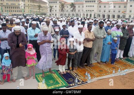 Colombo, Sri Lanka. 12 Sep, 2016. Personnes participent à une prière de masse à l'occasion du Eid al-Adha festival au Galle Face esplanade à Colombo, Sri Lanka, le 12 septembre 2016. Les musulmans à travers le monde célèbrent l'Aïd al-Adha festival, ou la fête de sacrifice. Crédit : A. Rajith/Xinhua/Alamy Live News Banque D'Images