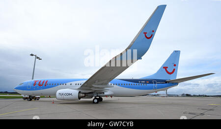 Hannover-Langenhagen, Allemagne. Feb 8, 2016. Un Boeing 737-800 Tuifly dans l'aire de manœuvre de l'aéroport de Hanovre, Allemagne, en Hannover-Langenhagen 8 février 2016. La flotte est composée de 40 Tuifly Boeing 737-800 s avec 189 sièges, ainsi que de 2 Boeing 767-300 de 291 sièges. PHOTO : HOLGER HOLLEMANN/DPA/Alamy Live News Banque D'Images