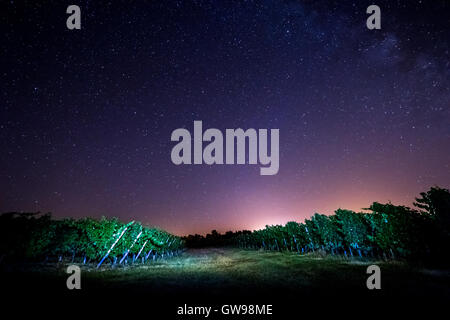 Domaine de la vigne dans le vignoble de Bordeaux, nuit, France Banque D'Images