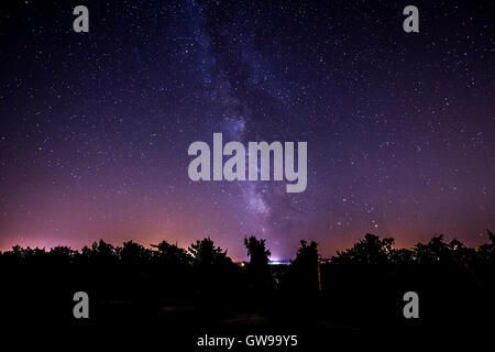 Domaine de la vigne dans le vignoble de Bordeaux, nuit, France Banque D'Images