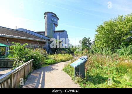 Le Sloane Severn Trent à tour de l'observatoire le Wildfowl and Wetlands Trust Slimbridge Wetland Centre, Slimbridge, Gloustershire Banque D'Images
