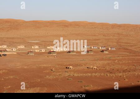 Désert omanais au coucher du soleil. Couleurs de Magic à travers les dunes et le sable. Banque D'Images