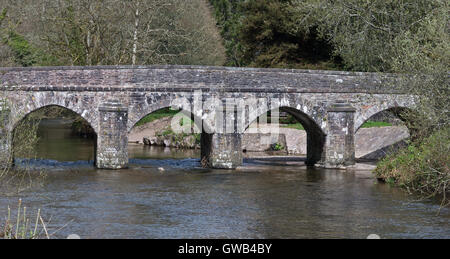 À la recherche en amont sur la rivière Barle vers le pont Barle dans le village de Somerset dans Exmoor à Dulverton Banque D'Images