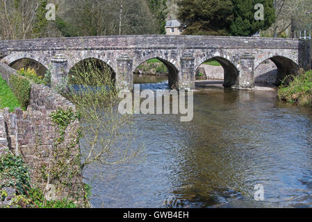 À la recherche en amont sur la rivière Barle vers le pont Barle dans le village de Somerset dans Exmoor à Dulverton Banque D'Images