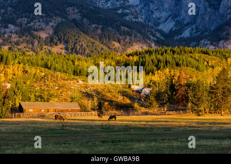 Lever du soleil sur les montagnes Teton près de ruisseau Cottonwood, Grand Teton National Park, Wyoming, USA Banque D'Images