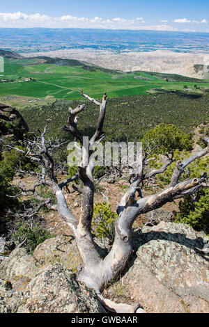 Vue ouest de la Warner point oublier, Parc National Black Canyon of the Gunnison, Colorado, USA Banque D'Images