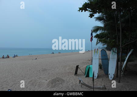 Planches de surf sur la plage de Phuket Resort en Thailande Banque D'Images