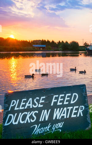 Rufford, West Lancashire. Météo France : 13/09/2016. Un magnifique lever de soleil sur le magnifique "Rufford Marina' dans West Lancashire. Les températures devraient monter à 30°C aujourd'hui, ce sera un jour chaud et humide pour la majeure partie de l'UK. Beaucoup de gens seront en espérant cette chaleur de l'été temps persiste jusque tard en septembre. © Cernan Elias/Alamy Live News Banque D'Images