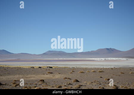 Lagon de l'Altiplano Bolivie Banque D'Images