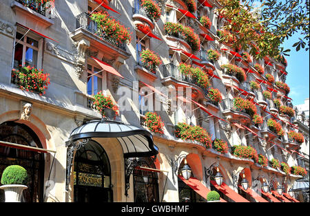 Paris, France, Avenue Montaigne, Luxury Hotel Plaza, Christmas Decorations  Stock Photo - Alamy