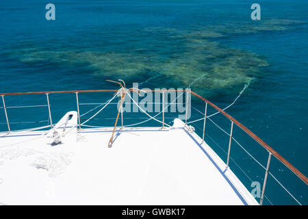 La plongée bateau ancré dans un récif de corail à l'Etat de Bahia, près de Abrolhos National Marine Park, Brésil Banque D'Images