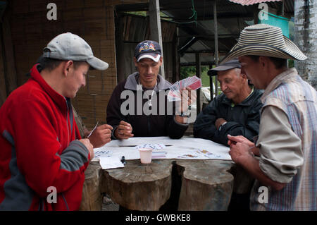 Cartes à jouer dans la vallée de Cocora, Colombie. Salento et Valle de Cocora. Salento. Au milieu des magnifiques montagnes de Quindio, est le soi-disant "Père de Quindio Municipalité', le Salento. Banque D'Images