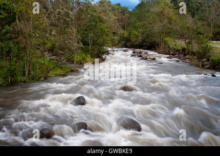 Paysage de la rivière 'río arriba' dans la vallée de Cocora, Colombie. La culture du café colombien axe. Le café de Colombie, région, également connu sous le nom de triangle du café, est une partie de la région Paisa colombien dans la région rurale de Colombie, célèbre pour la culture et la production d'une majorité de la café de Colombie, considéré par certains comme le meilleur café au monde. Banque D'Images