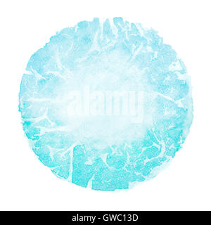 Turquoise bleu aquarelle place ronde isolated on white Banque D'Images