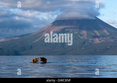 Vue sur lac Kurile sur fond de volcan Ilyinsky au Kamtchatka Région de la Russie Banque D'Images