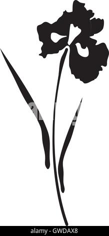 Vector illustration d'un iris flower isolated on white background Illustration de Vecteur