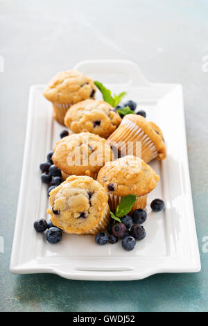 Muffins aux bleuets sur une plaque Banque D'Images