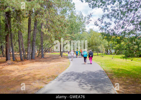 QUITO, ÉQUATEUR - marzo 23, 2015 : des personnes non identifiées, les promenades dans le parc quelques excercises, arbres et couleurs de vêtements déco Banque D'Images