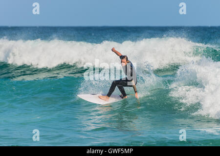 Un surfeur australien sur la vague, la plage de Bondi dans la banlieue Est Sydney Banque D'Images