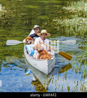 Couple partager canoë avec retrievers Twin Lakes dans le bassin Mammoth Lakes Banque D'Images
