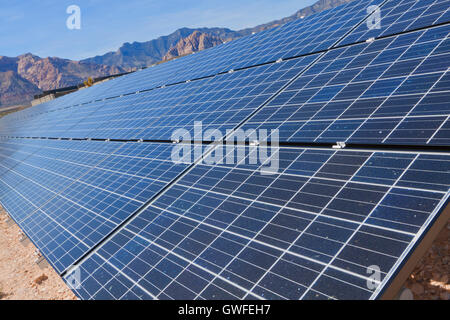Afficher des panneaux solaires dans le désert de Mojave. Banque D'Images