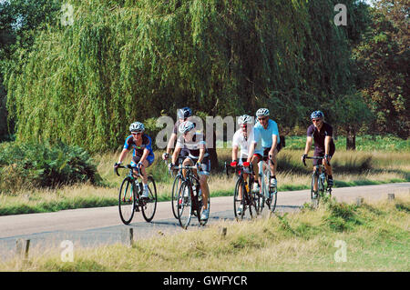 Londres, Royaume-Uni, 13 septembre 2016, les piétons attendre que les chevaux traverser la route de Richmond Park sur la journée la plus chaude en septembre à la température atteint 32 degrés Celsius à Londres depuis 1947. Credit : JOHNNY ARMSTEAD/Alamy Live News Banque D'Images