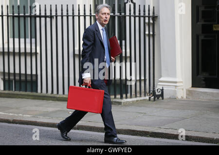 Londres, Grande-Bretagne. 13 Sep, 2016. Le ministre des Finances britannique Philip Hammond arrive pour une réunion du cabinet, au 10 Downing Street à Londres, Grande-Bretagne, le 13 septembre, 2016. Crédit : Tim Irlande/Xinhua/Alamy Live News Banque D'Images