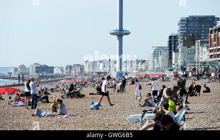 Brighton, UK. 14Th Sep 2016. Le Soleil Profitez de la lumière du soleil chaude sur la plage de Brighton aujourd'hui comme la vague Septembre temps persiste dans le sud-est de la Grande-Bretagne Crédit : Simon Dack/Alamy Live News Banque D'Images