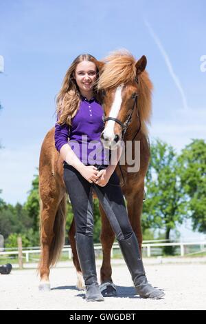 Cheval islandais. Jeune fille debout à côté d'un cheval alezan avec tack sur une circonscription. L'Autriche Banque D'Images