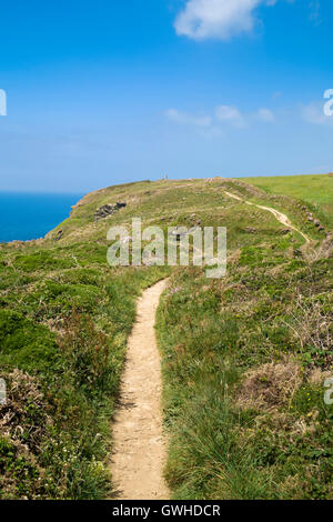 South West Coast Path le long des falaises sur la péninsule de Lizard, Cornwall, England, UK Banque D'Images