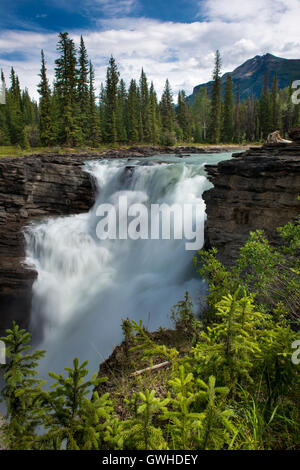 Les chutes Athabasca, Jasper National Park, Alberta, Canada Banque D'Images