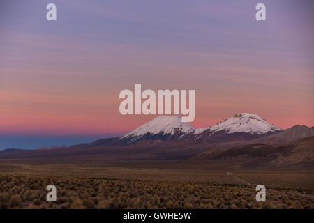 Coucher du soleil dans les Andes. Volcans Parinacota et Pomerade. Paysage des hautes Andes dans les Andes. Paysage de toundra des hautes Andes dans le mont Banque D'Images