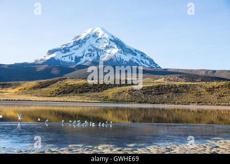 Huayñacota volcan Sajama et le lac, dans le Parc Naturel de Sajama. La Bolivie Banque D'Images