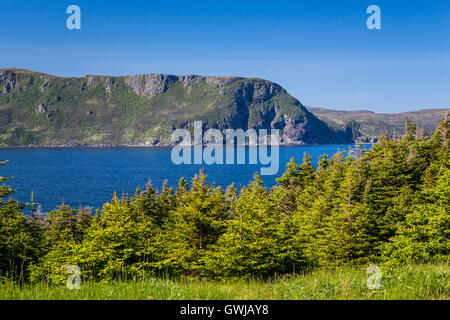 Les scenic côtières au parc national du Gros-Morne, à Terre-Neuve et Labrador, Canada. Banque D'Images